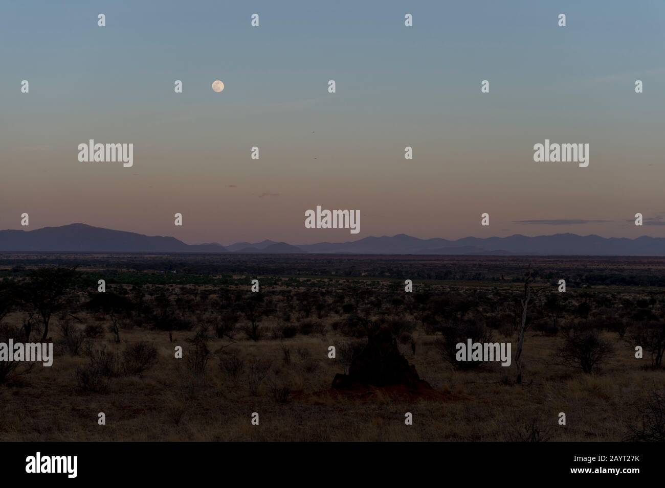 La pleine lune monte dans la Réserve nationale de Samburu au Kenya. Banque D'Images