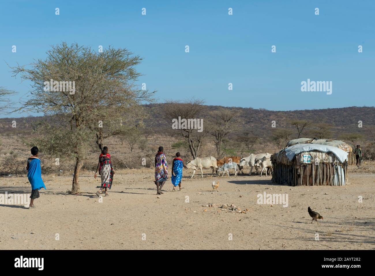 Huttes dans un village de Samburu près De La Réserve nationale de Samburu au Kenya. Banque D'Images