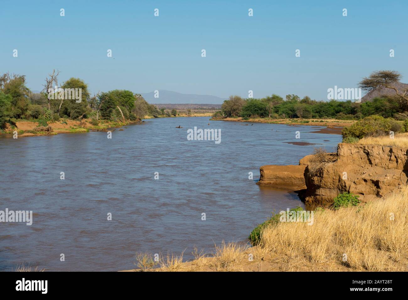 Vue sur la rivière Ewaso Nyiro dans La Réserve nationale de Samburu au Kenya. Banque D'Images