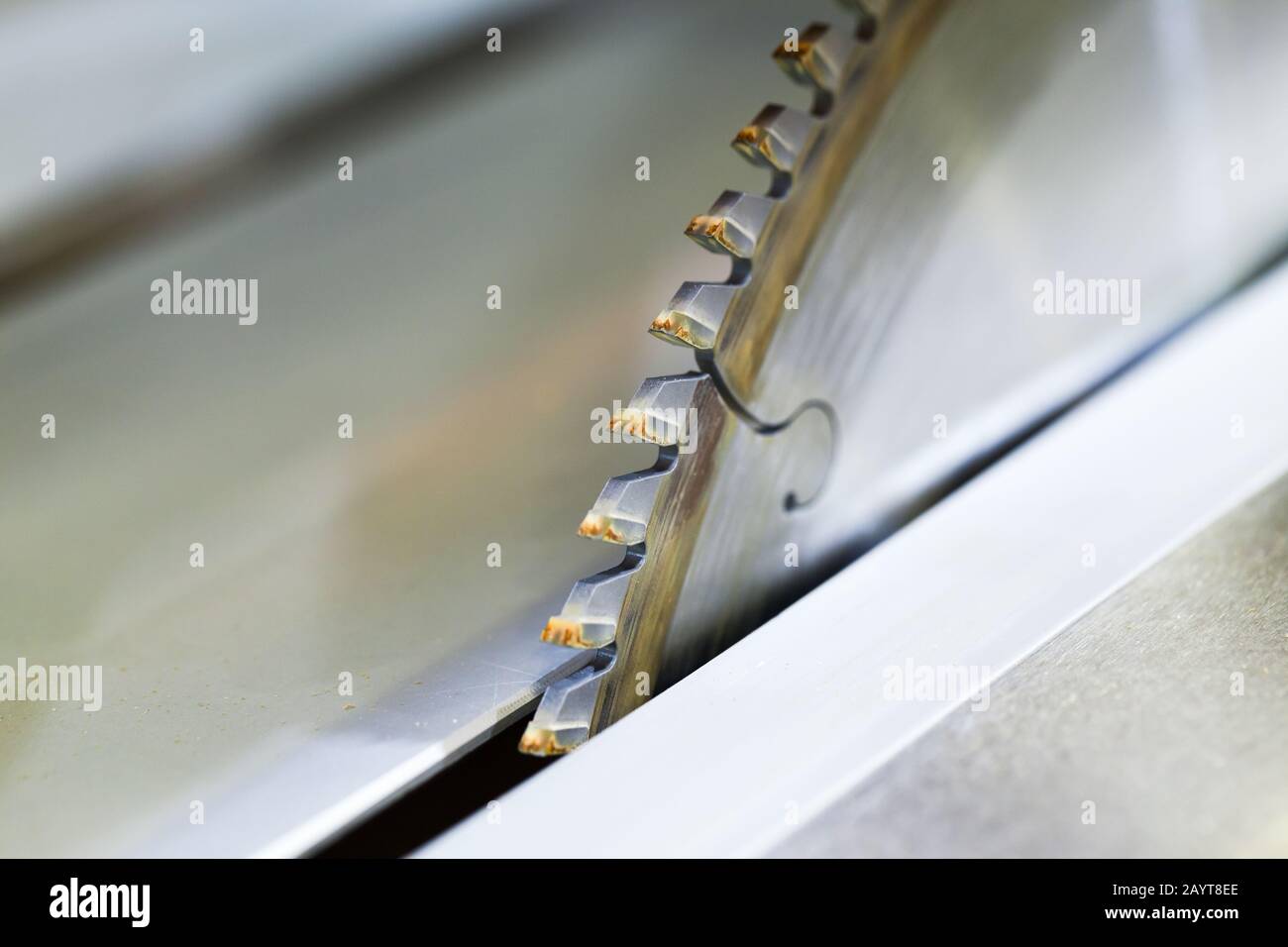 Scie à table circulaire avec dents en carbure, photo de gros plan avec mise au point sélective Banque D'Images
