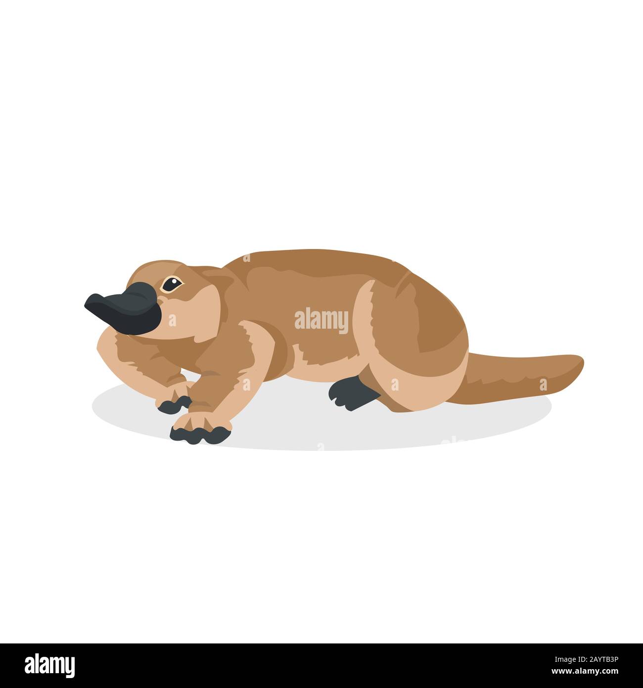 platypus icône caricature en voie de disparition symbole d'animal sauvage australien faune espèce concept plate illustration vectorielle Illustration de Vecteur