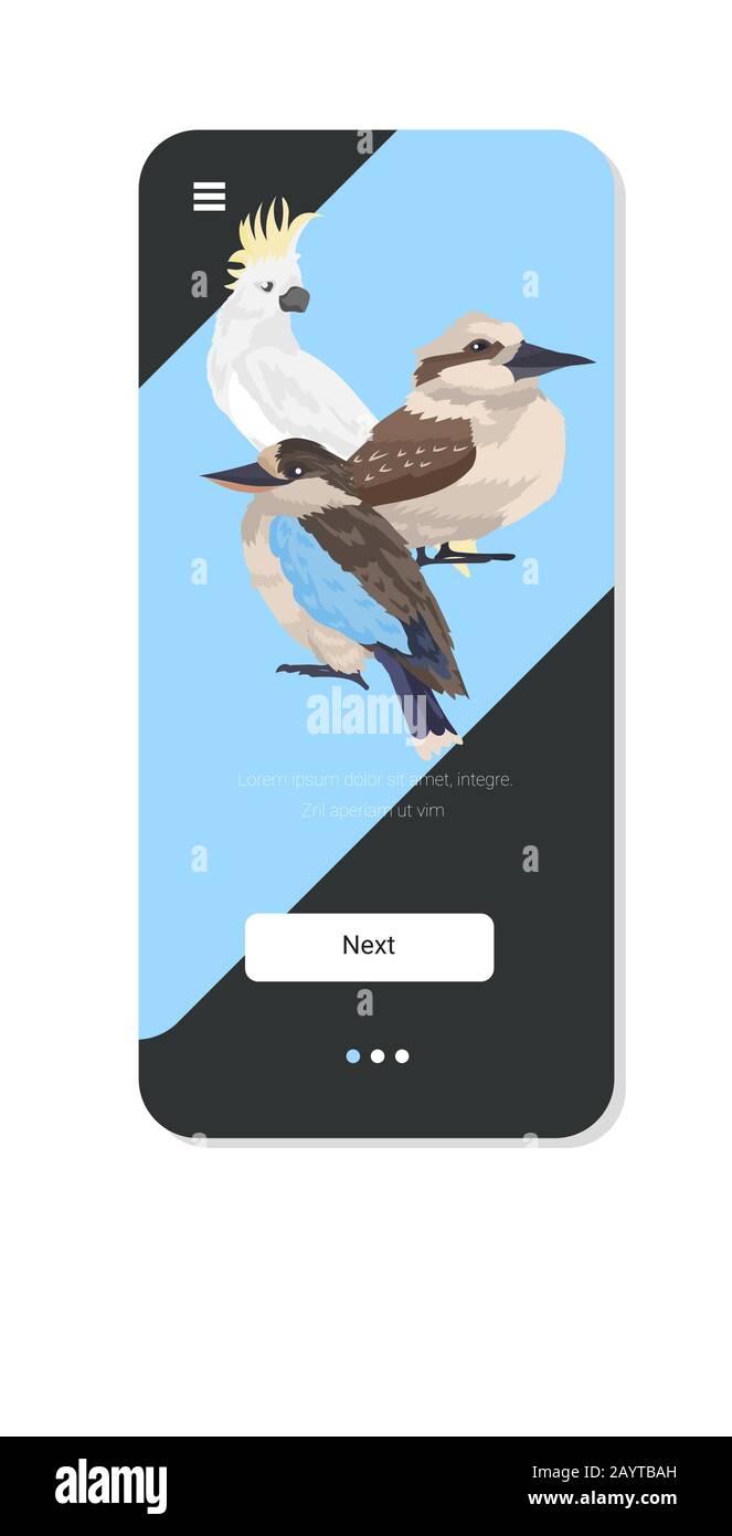 Kookaburra cocatoo oiseaux caricature animaux sauvages symbole faune faune concept smartphone écran mobile application verticale copie espace illustration vectorielle Illustration de Vecteur