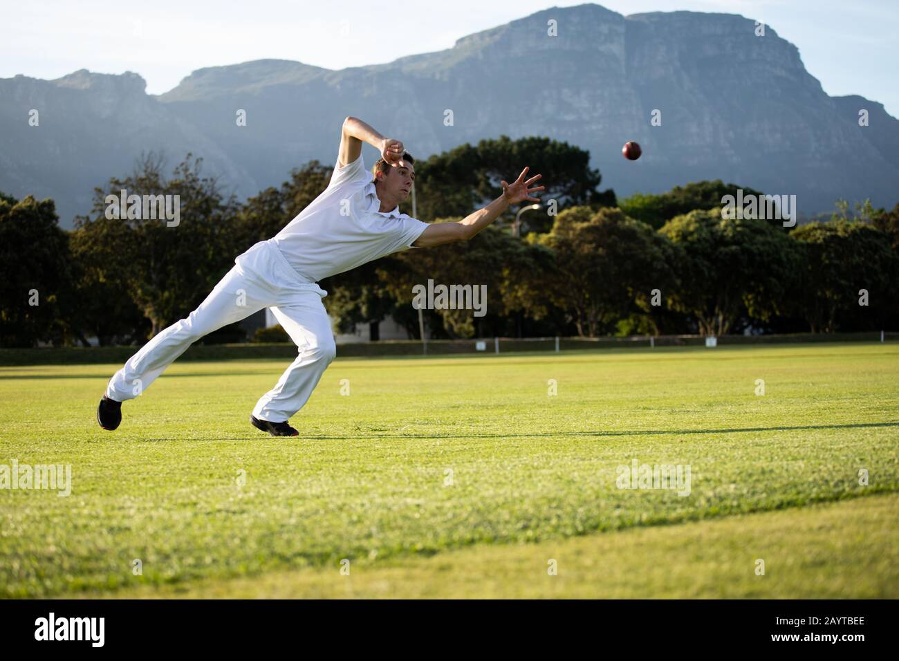 Joueur de cricket essayant de prendre un ballon de cricket sur le terrain Banque D'Images