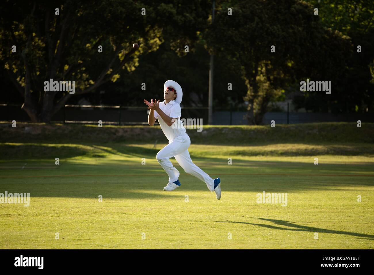 Joueur de cricket essayant de prendre un ballon de cricket sur le terrain Banque D'Images