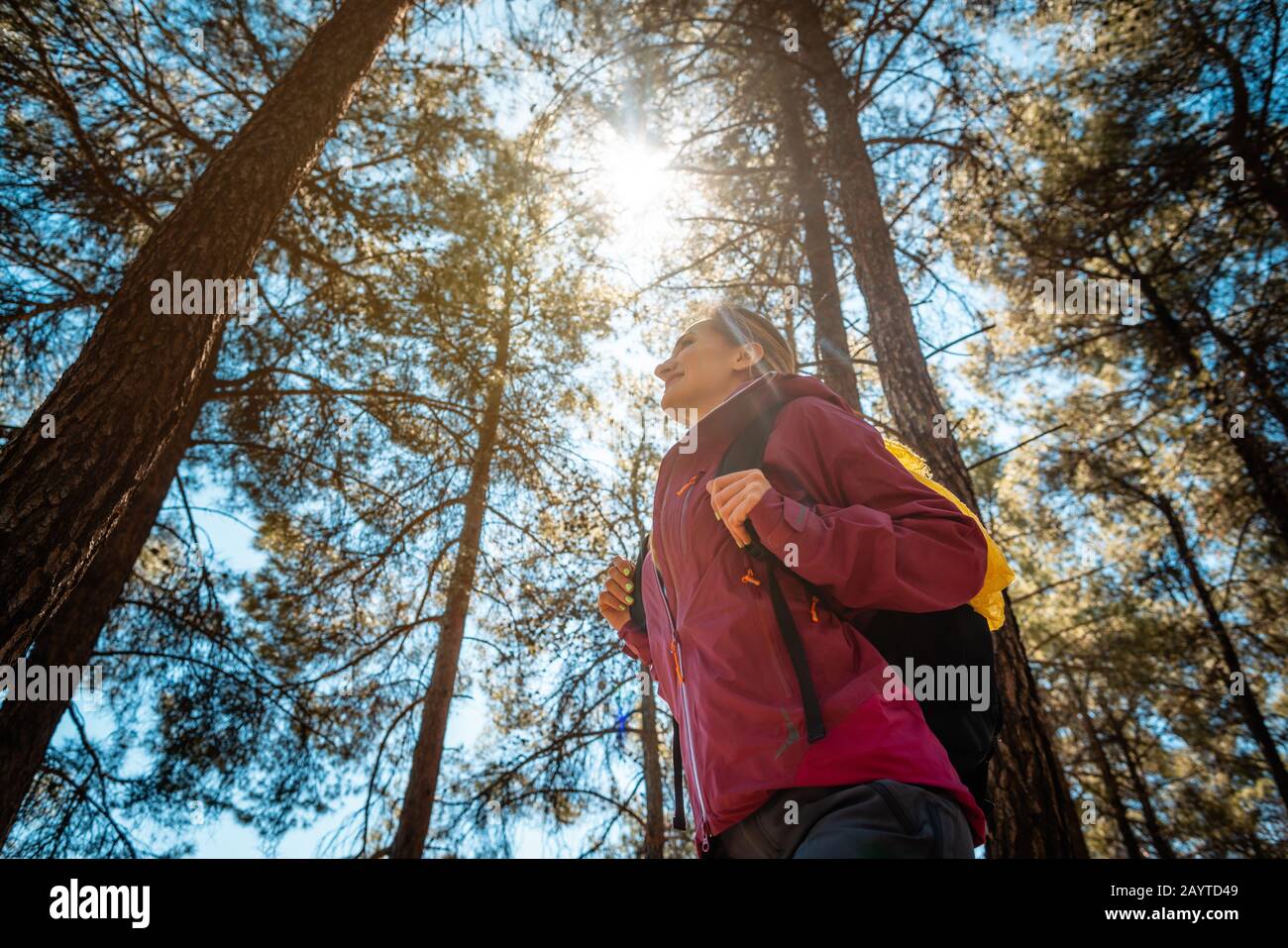 Femme randonnée dans une forêt méridionale au milieu de grands pins Banque D'Images