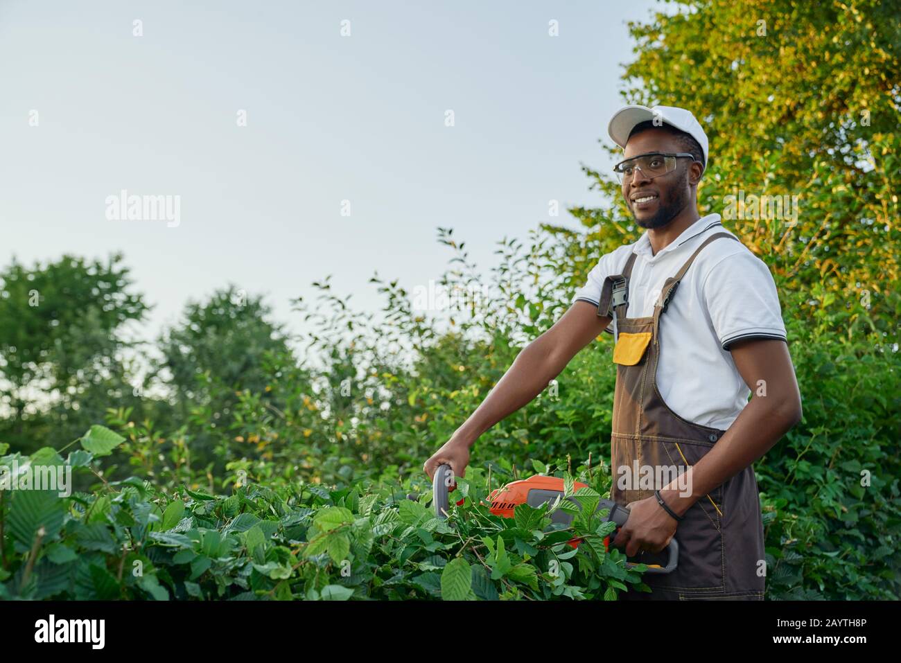 Homme afro-américain souriant dans l'ensemble marron et lunettes de protection coupant les buissons cultivés en forme ordonnée pendant les journées ensoleillées. Travailleur masculin compétent utilisant un taille-haie pour le jardinage. Banque D'Images
