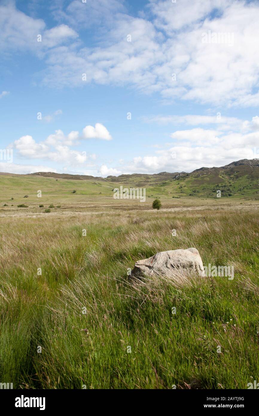 Moel Eilio depuis le chemin menant au réservoir de Llyn Eigiau Sous Carnedd Llewelyn, au-dessus de Conwy Valley Snowdonia, au nord du pays de Galles Banque D'Images