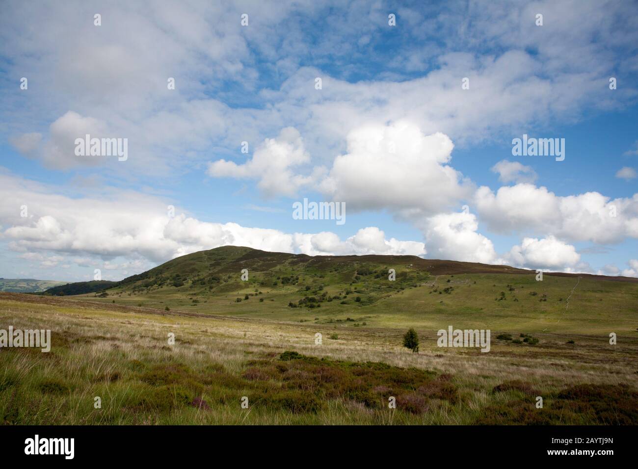 Moel Eilio depuis le chemin menant au réservoir de Llyn Eigiau Sous Carnedd Llewelyn, au-dessus de Conwy Valley Snowdonia, au nord du pays de Galles Banque D'Images