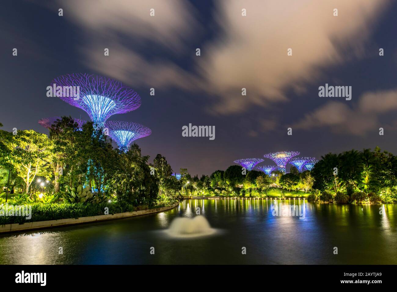Superarbres au crépuscule, réflexion sur l'eau, jardins près de la baie, Singapour Banque D'Images