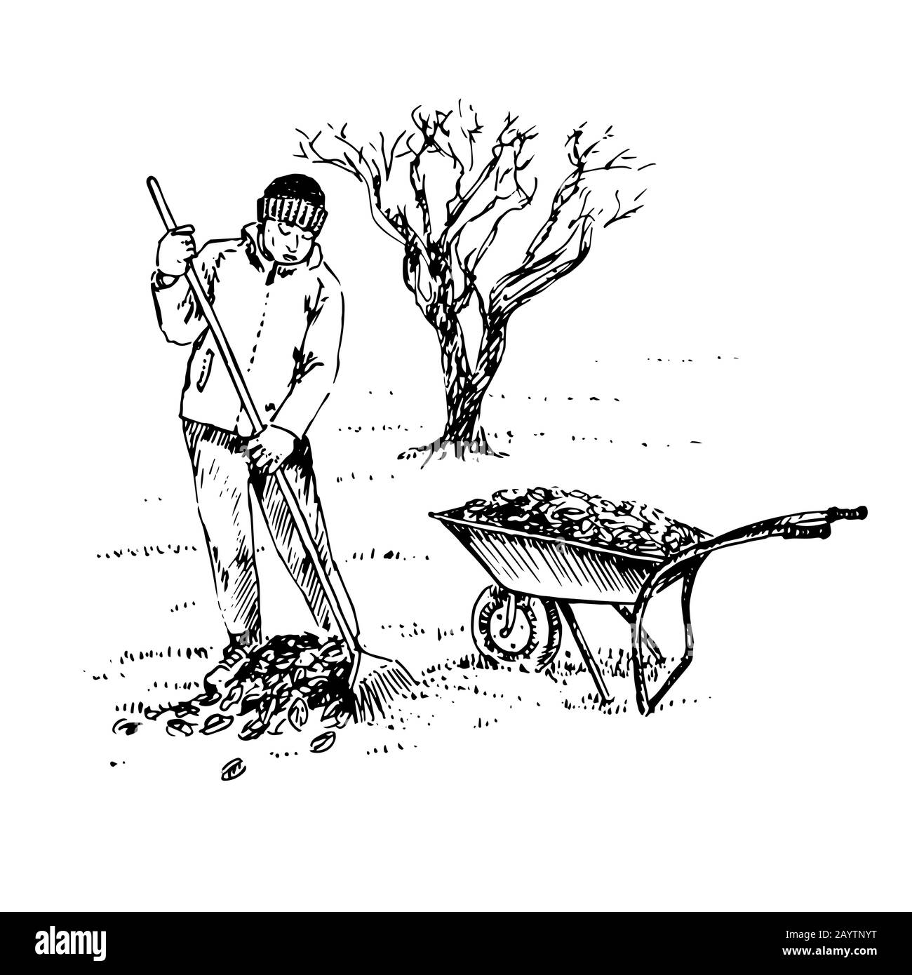 Le jardinier raque les feuilles avec un râteau et met dans une brouette, arbre sans feuilles derrière, dessin à la main, dessin, noir et blanc illustration Banque D'Images Le jardinier raque les feuilles avec un râteau et met dans une brouette, arbre sans feuilles derrière, dessin à la main, dessin, noir et blanc illustration Banque D'Images