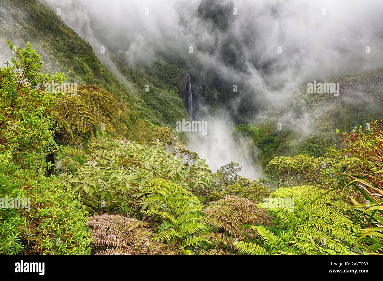 Chute d'eau du canyon trou de fer à l'île la Réunion Banque D'Images