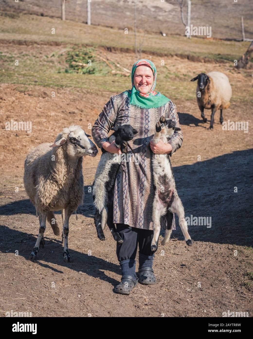 Krastava village, Rhodope montagnes / Bulgarie - Février 16 2020: Portrait de la vieille femme hug agneau dans la ferme. Banque D'Images