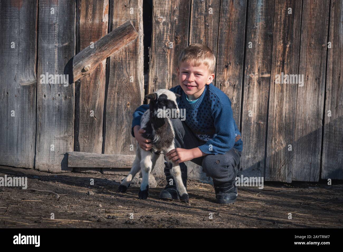 Krastava village, Rhodope montagnes / Bulgarie : Portrait de l'agneau de petit garçon dans la ferme. Banque D'Images
