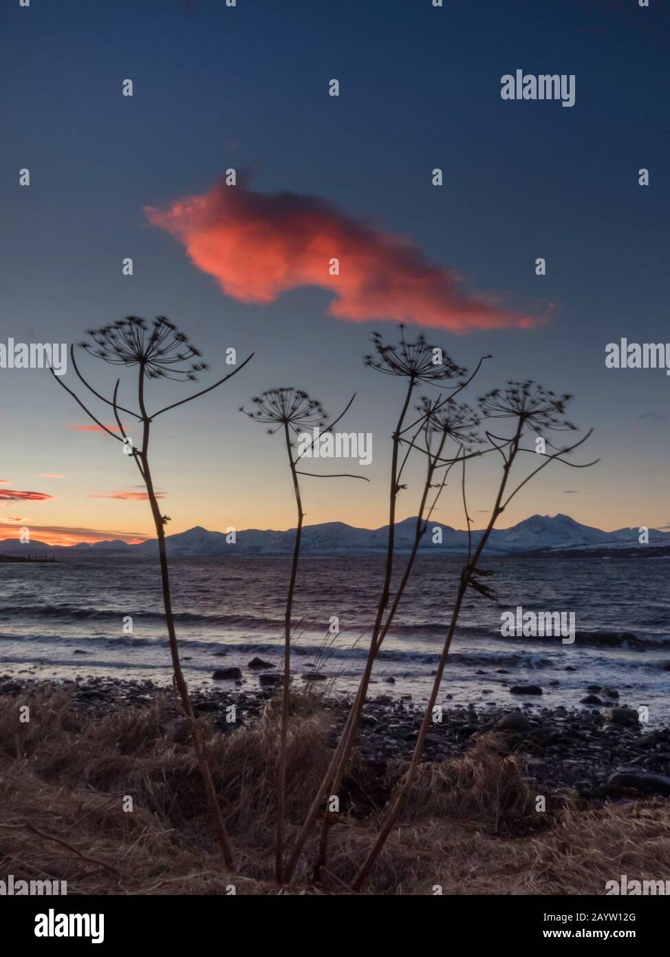 Aube polaire à Sandnessund près de Tromso, Norvège, Troms, Tromsoe Banque D'Images