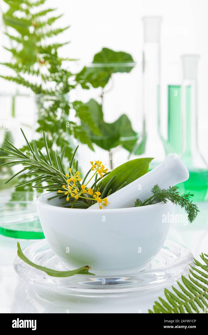 Mortier et pilon avec des herbes sur une table de laboratoire. Banque D'Images