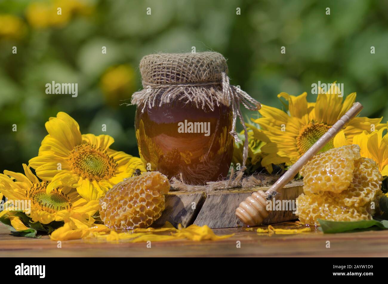 Hohey dans des bocaux en verre et l'abeille de miel occidentale. Abeille de miel sur le fond de la nature . Abeille assise sur un verre de miel. Miel dans le pot en verre avec le miel volant BE Banque D'Images