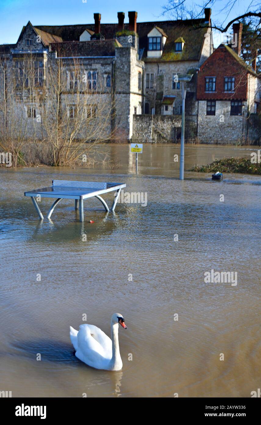 Maidstone, Kent, Royaume-Uni. 17 février 2020. Ciel bleu et inondation dans le centre de Maidstone après une autre nuit de vent et de fortes pluies. Pas de tennis de table en plein air pour le futur prometteur crédit: PjrFoto/Alay Live News Banque D'Images