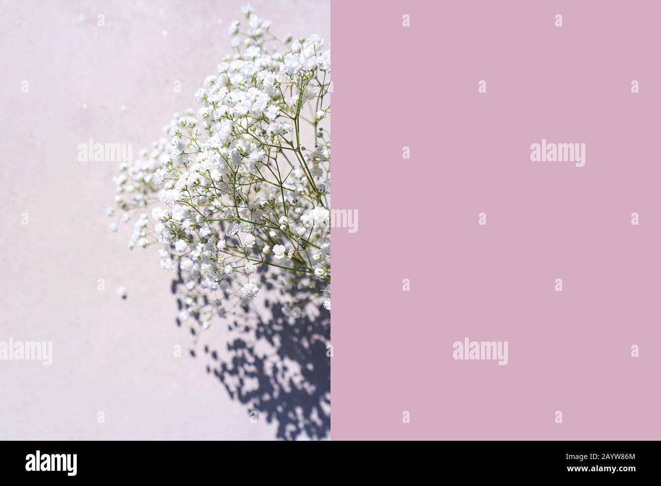 Beau Bouquet De Fleurs Blanches Avec Des Ombres Sur Fond Gris Pastel En Beton Rose Concept