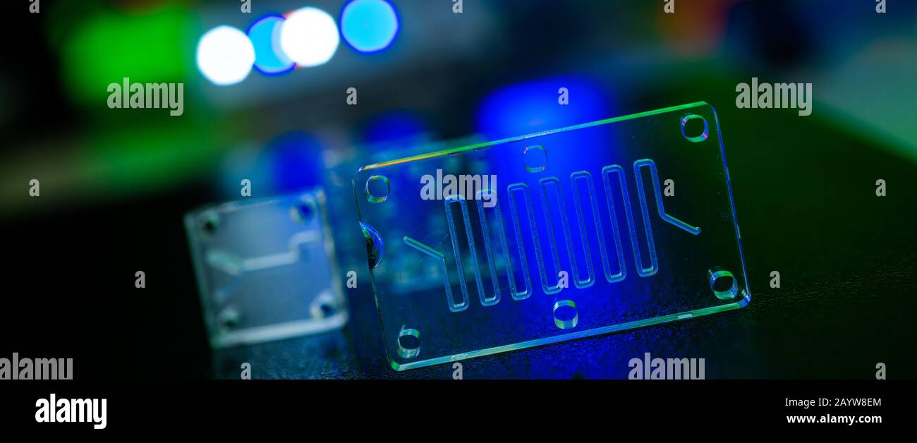 Organe-sur-puce (OOC) - dispositif microfluidique puce qui simule les organes biologiques c'est le type d'organes artificiels. Conception de prototypes de laboratoires sur puce Banque D'Images
