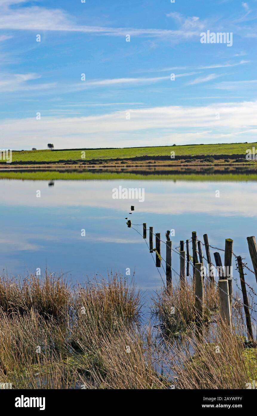 piscine à l'intérieur de la moor de bodmin à cornwall, en angleterre, en grande-bretagne Banque D'Images