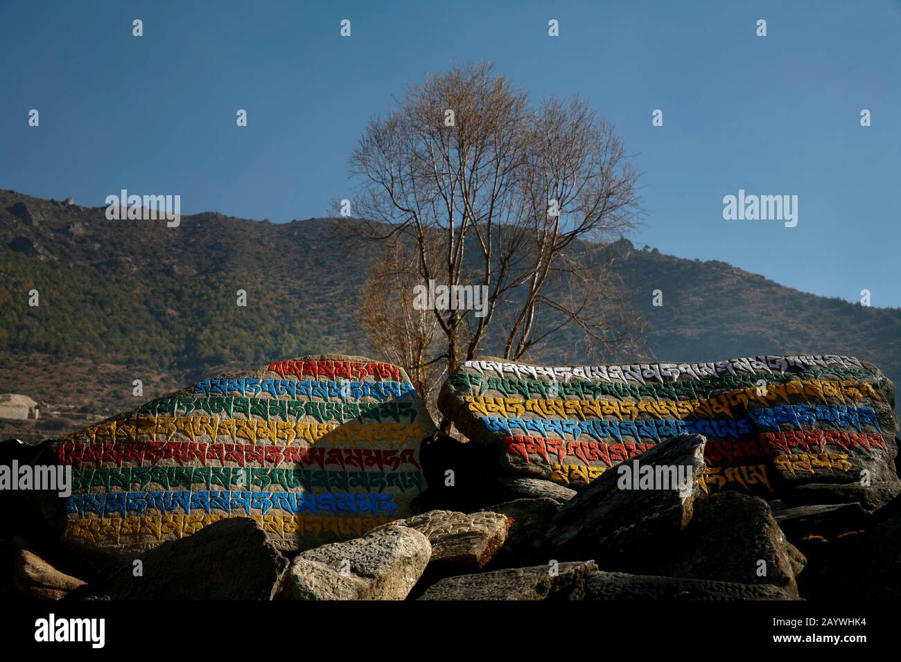 Lettrage bouddhiste coloré sur les rochers dans la région de l'Everest Banque D'Images Lettrage bouddhiste coloré sur les rochers dans la région de l'Everest Banque D'Images