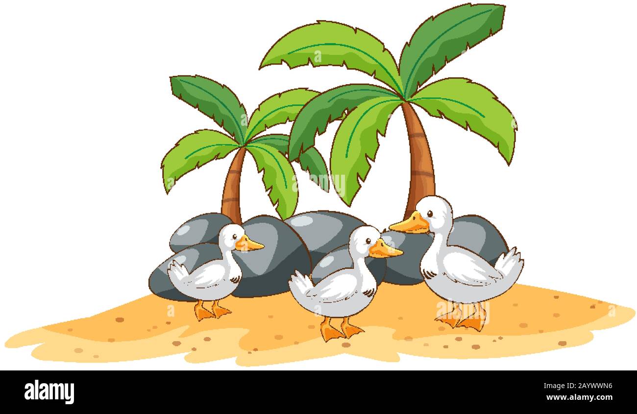 Canards sur fond blanc illustration Illustration de Vecteur