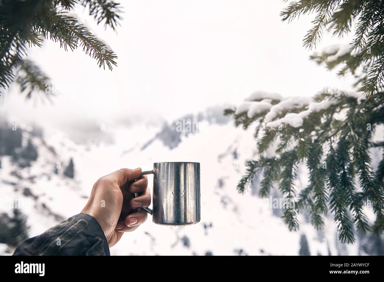 Le voyageur tient une tasse de café dans les montagnes encadrées d'épicéa à l'hiver. Concept de camping de montagne. Banque D'Images