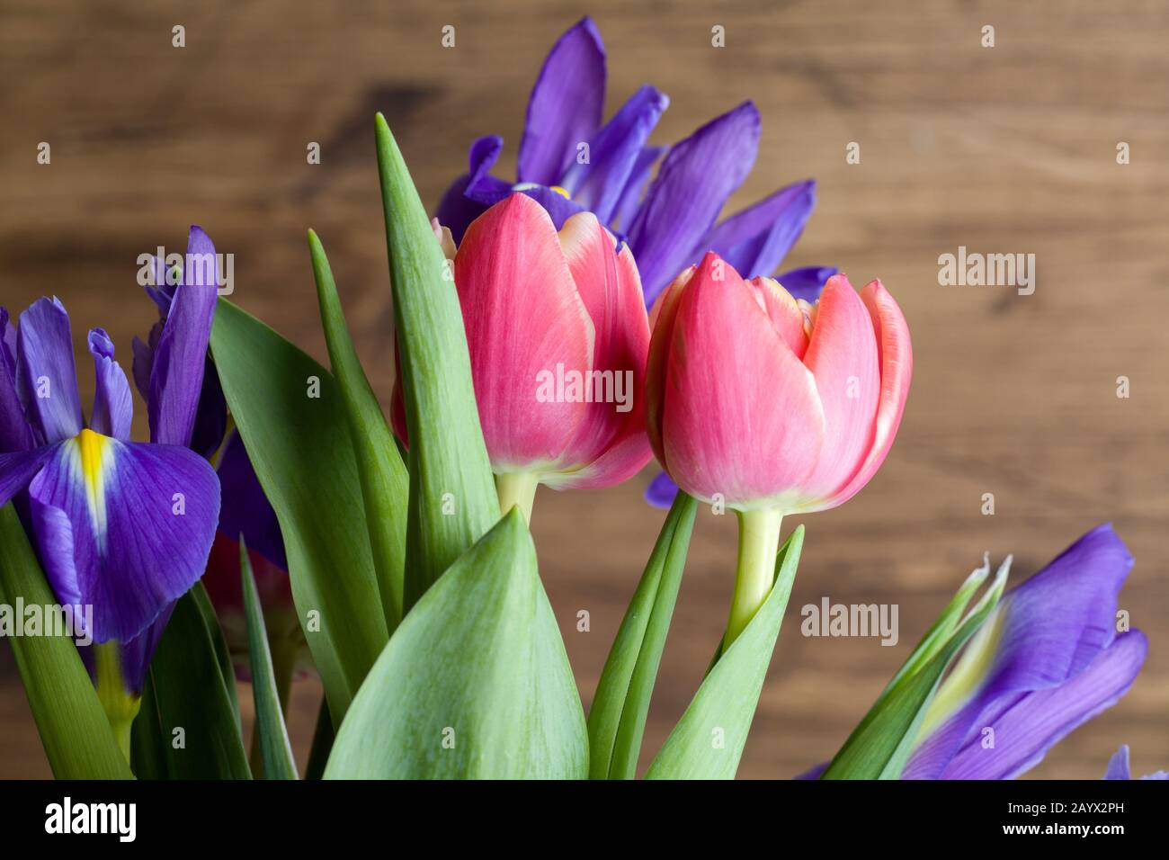 Tulipes et iris rouges sur fond de bois brun. Joyeux anniversaire. Carte de fête des mères. Félicitations pour la journée des femmes. 8 mars contexte. Ressort Banque D'Images Tulipes et iris rouges sur fond de bois brun. Joyeux anniversaire. Carte de fête des mères. Félicitations pour la journée des femmes. 8 mars contexte. Ressort Banque D'Images
