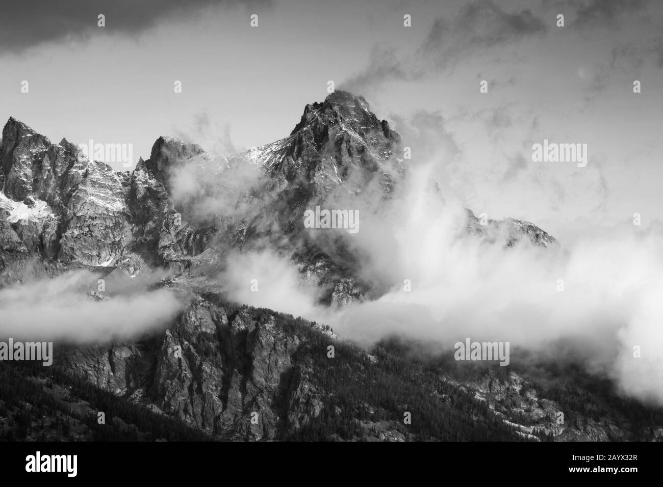 Fleur rouge gros plan avec rosée Banque D'Images