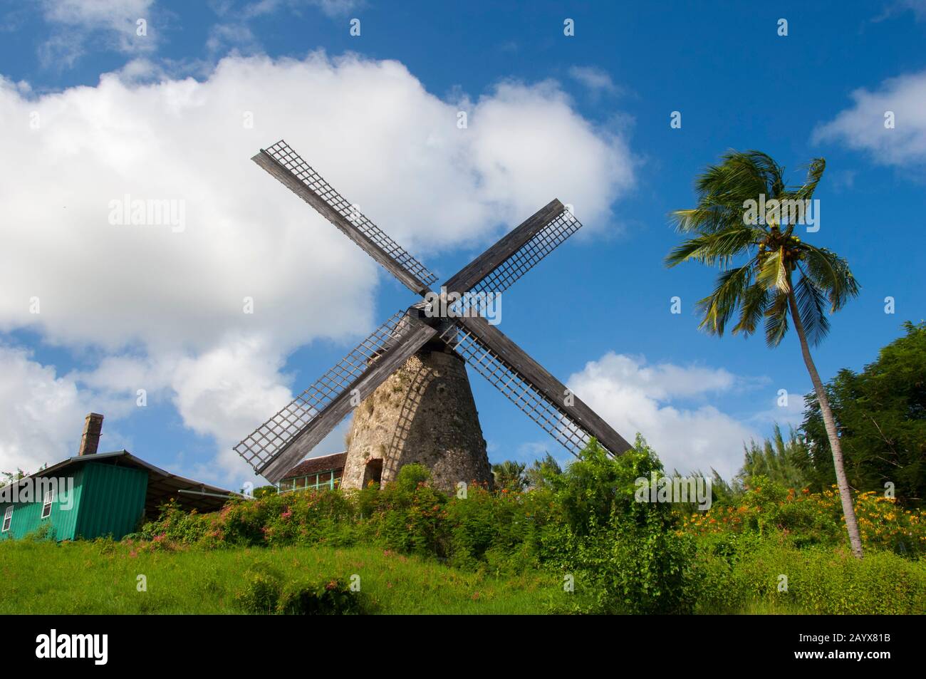 Le moulin à vent du moulin à sucre de Morgan Lewis à l'intérieur de la Barbade, une île des Caraïbes. Banque D'Images