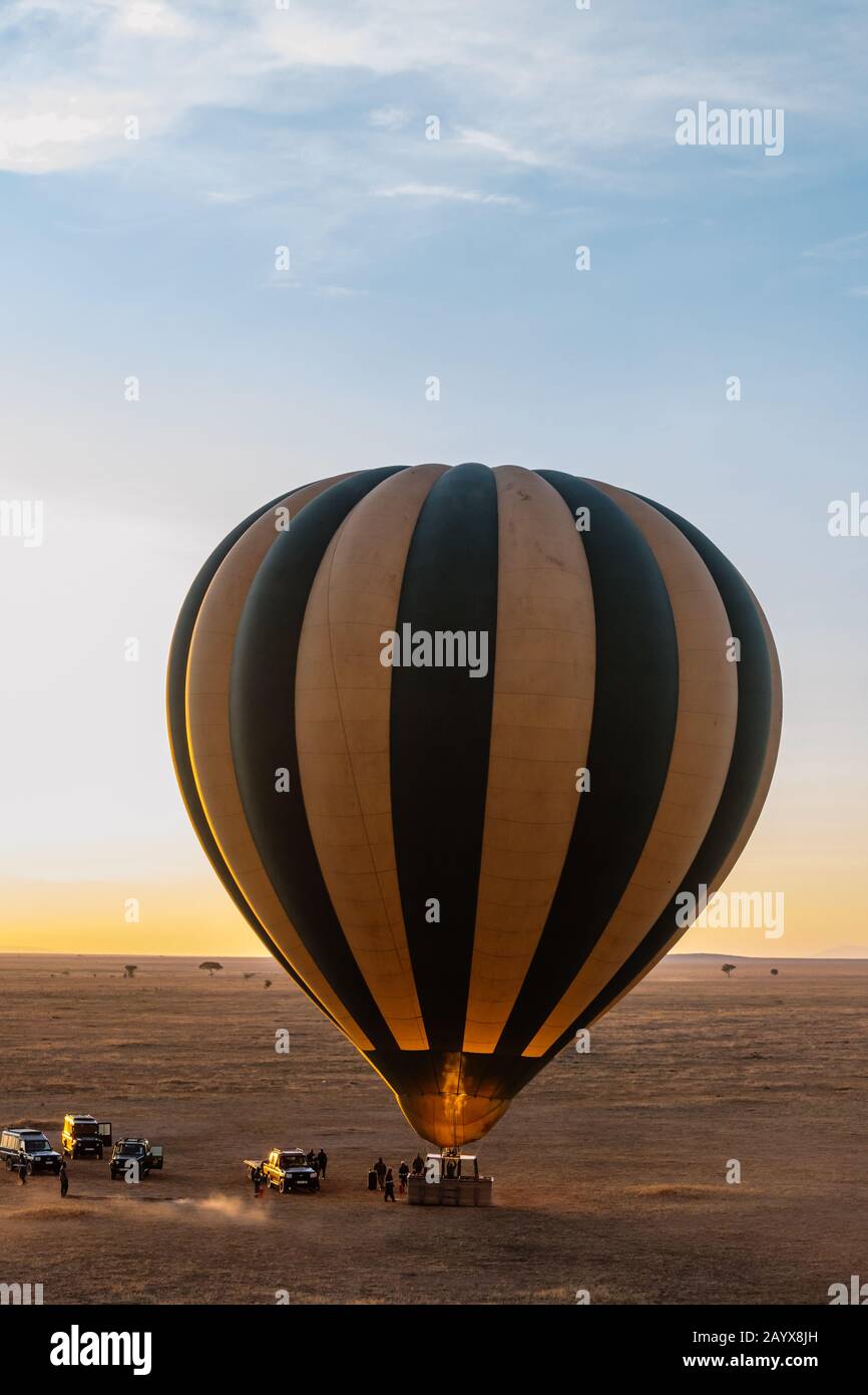 Vol en montgolfière le matin au-dessus du Serengeti en Tanzanie Banque D'Images