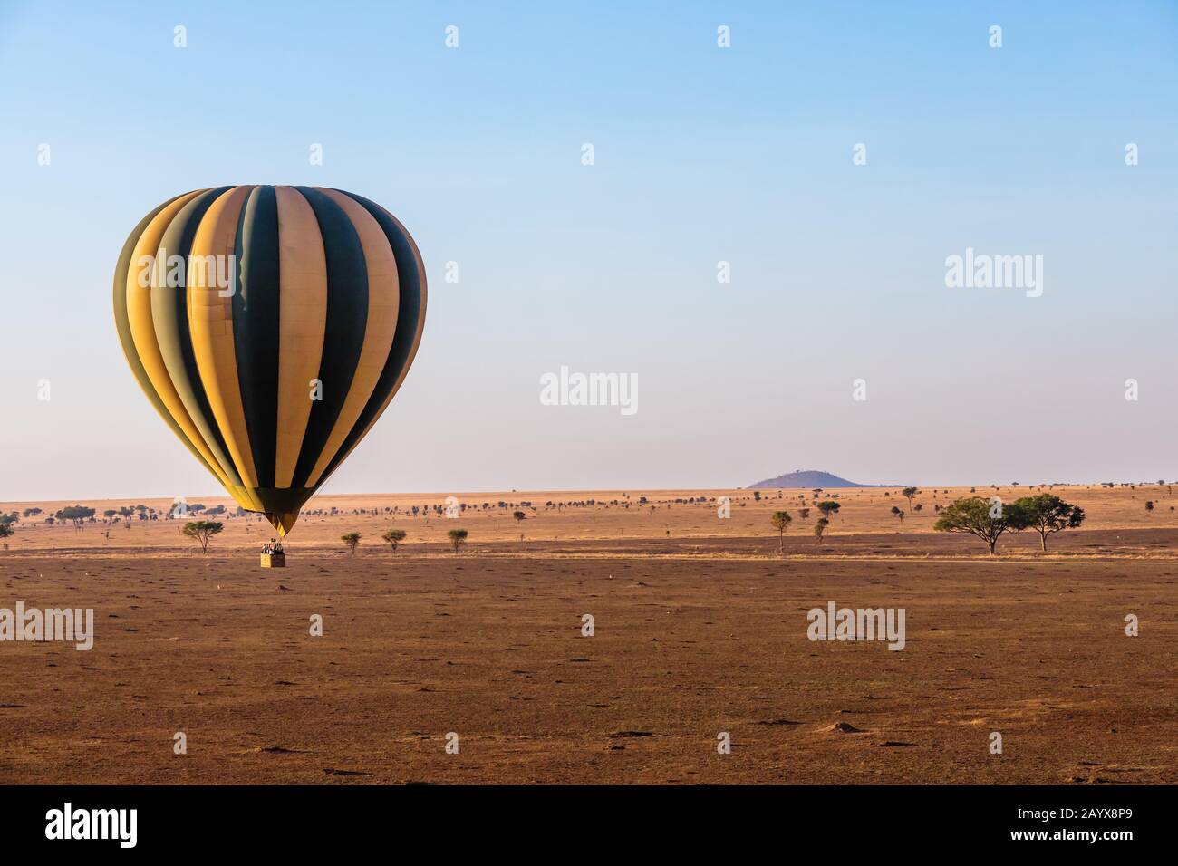 Vol en montgolfière le matin au-dessus du Serengeti en Tanzanie Banque D'Images