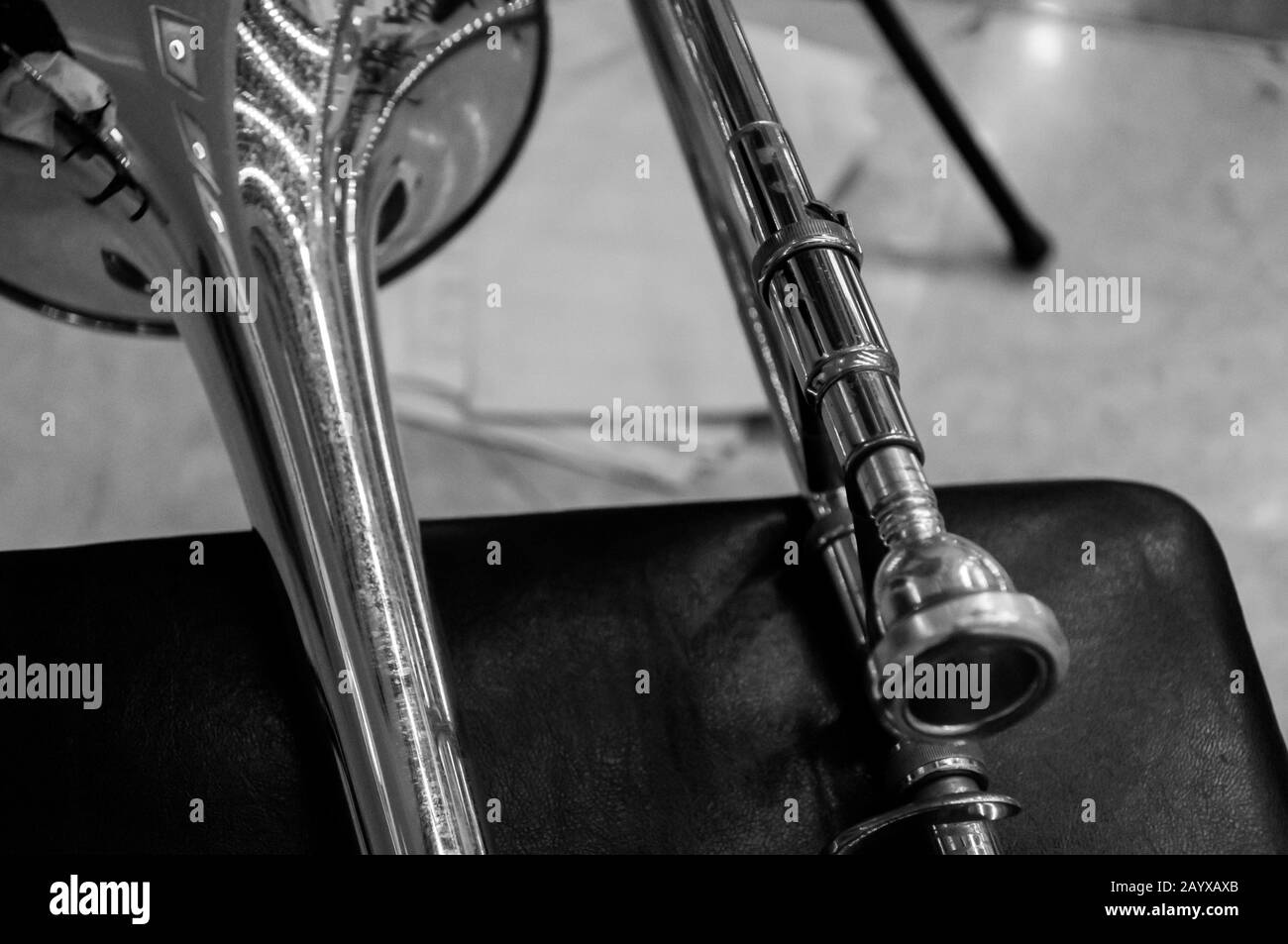 Batumi, Géorgie le 5 octobre, corne française noire et blanche Banque D'Images