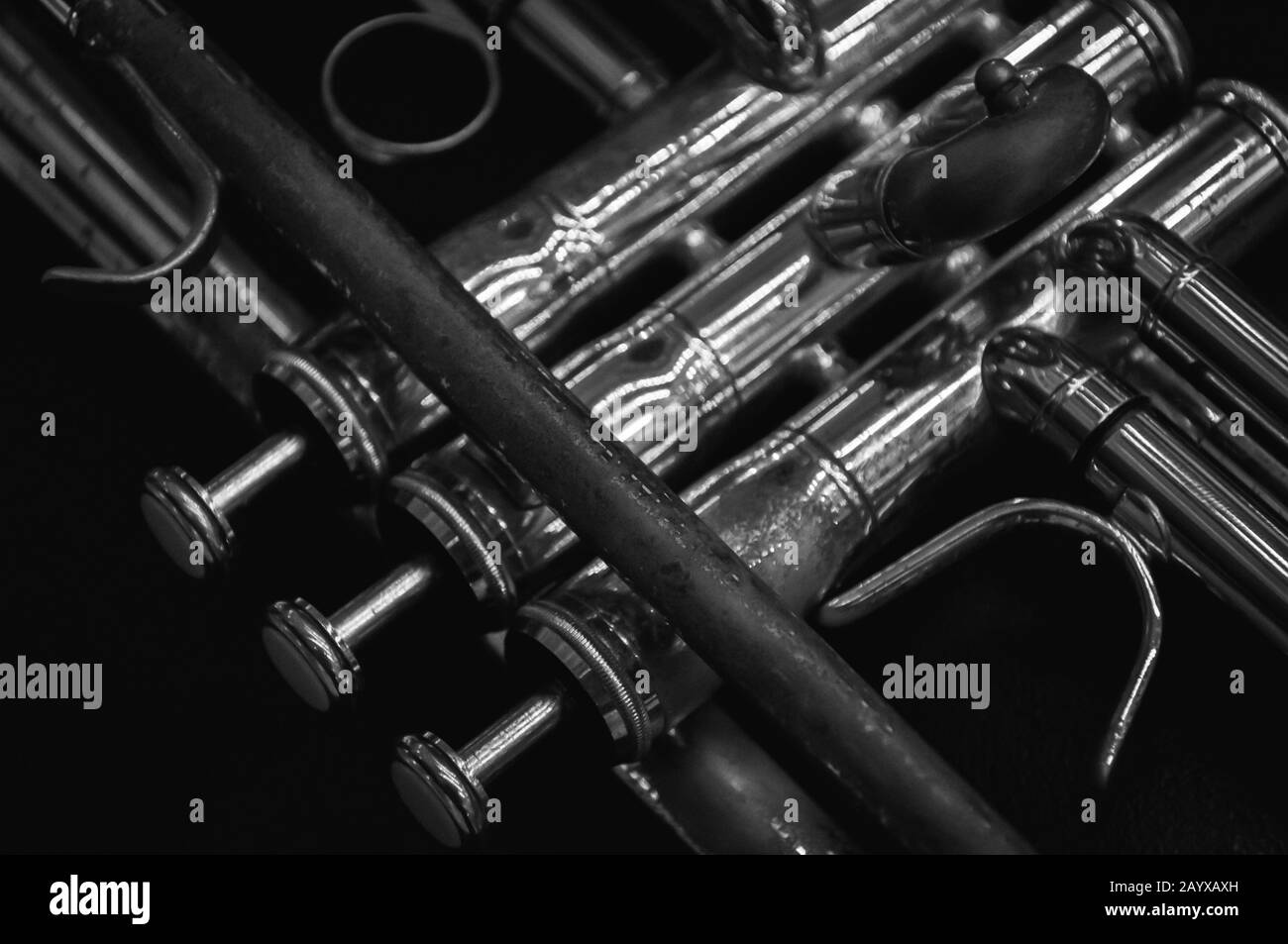 Batumi, Géorgie 5 octobre, trompette noire et blanche Banque D'Images