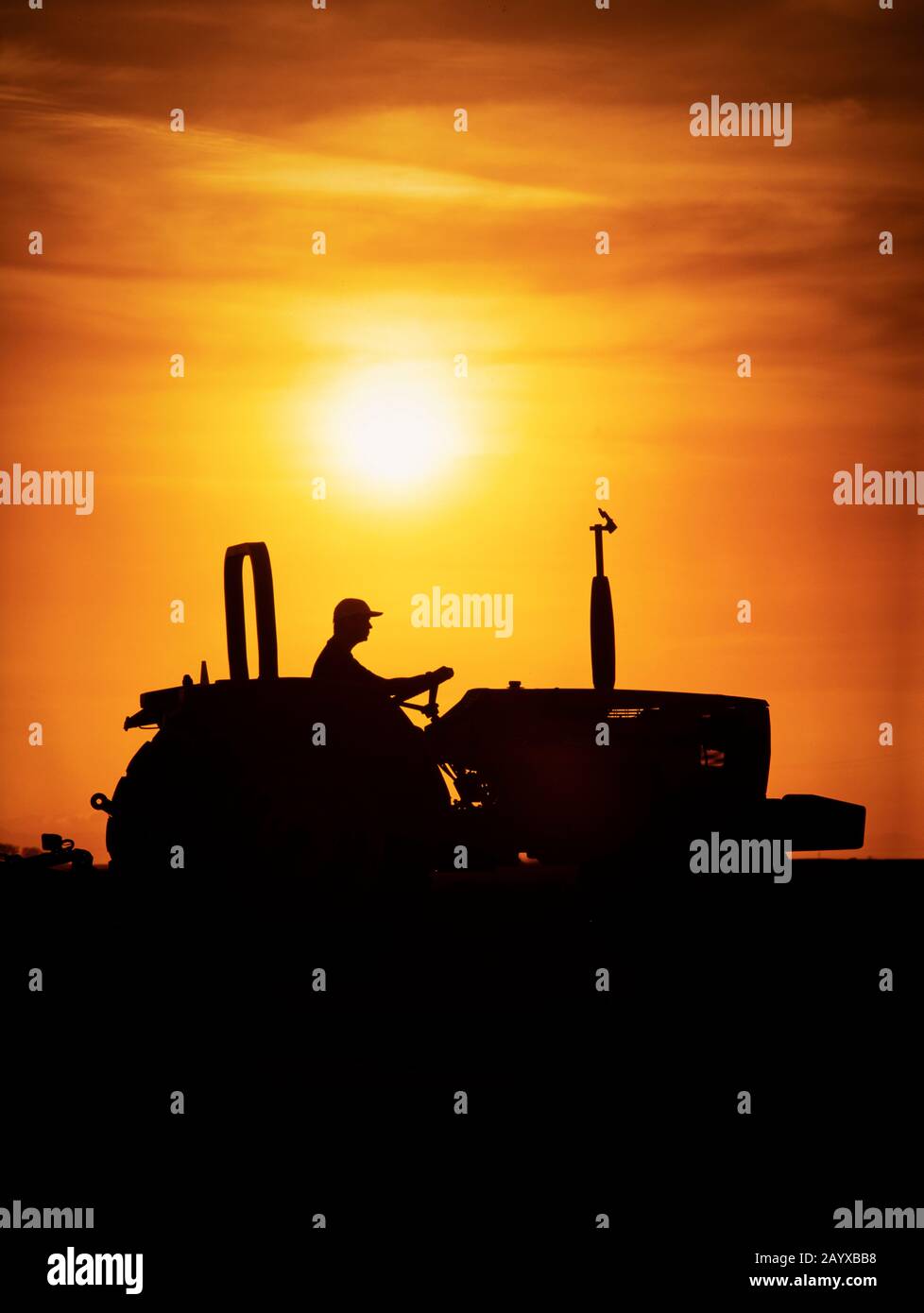 Un agriculteur conduit un tracteur silhouetté par la lumière chaude du soleil. Banque D'Images