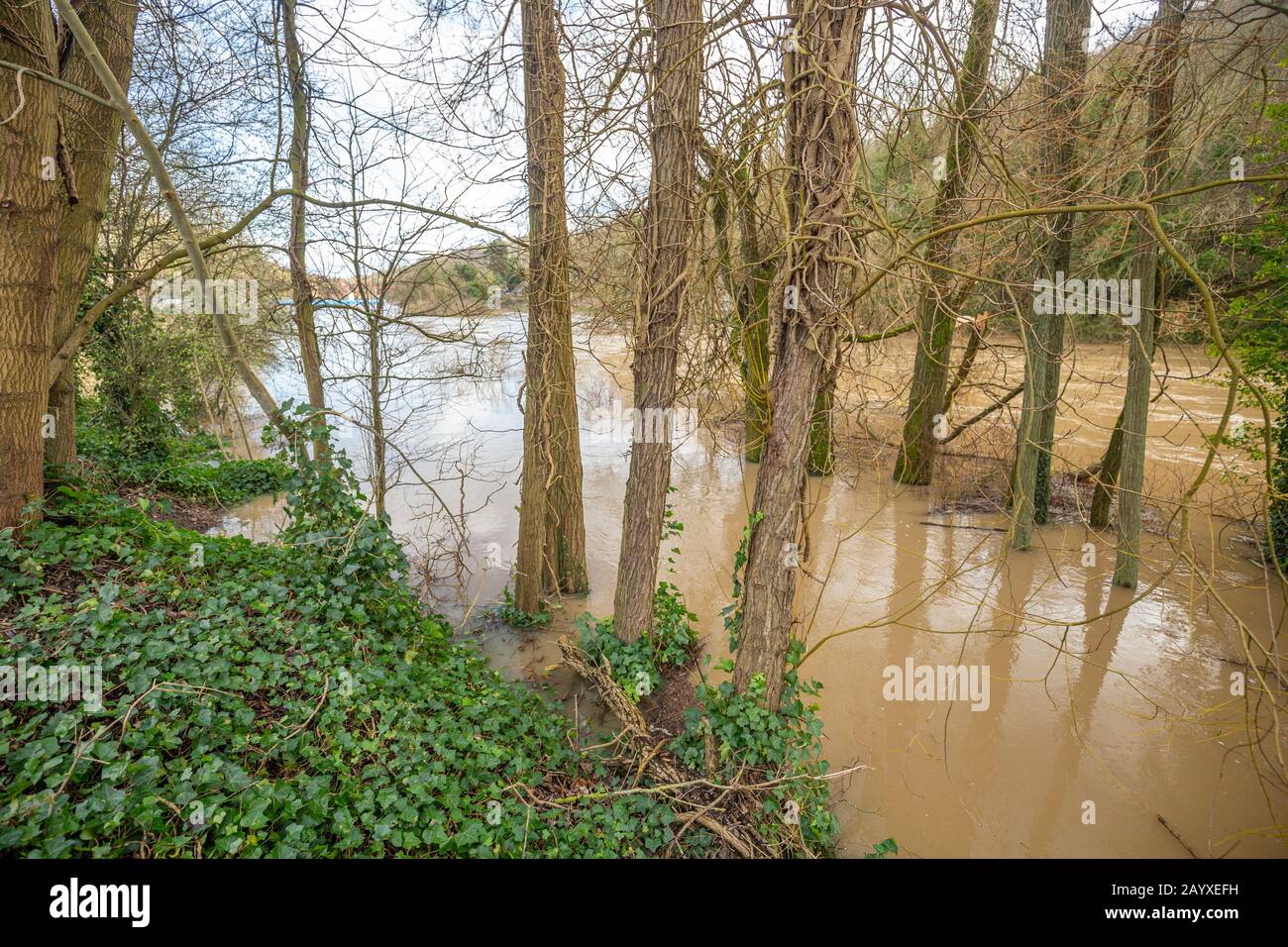 La rivière Severn inonde Ironbridge après que la tempête Dennis a balayé le Royaume-Uni Banque D'Images