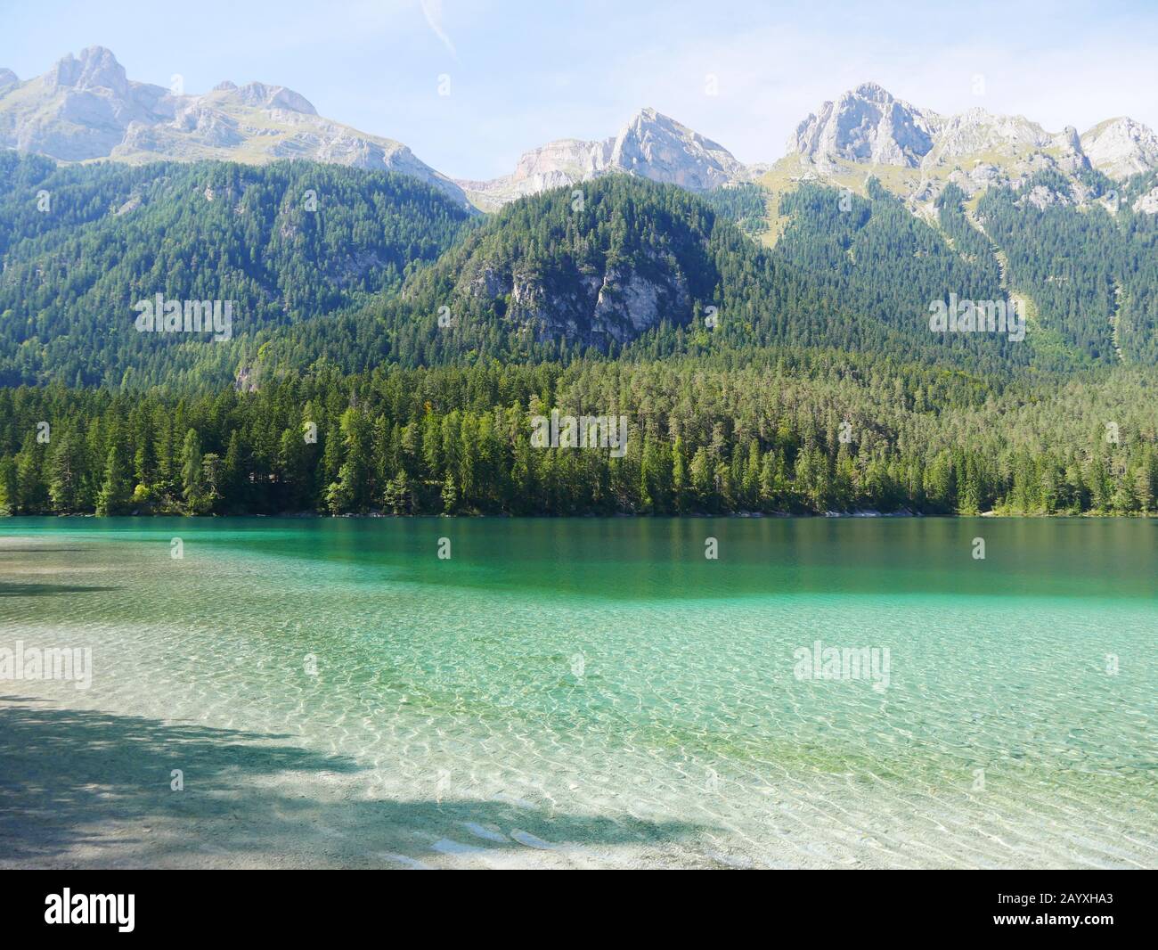 Lac Tovel, Italie : l'eau claire de la montagne ressemble à des Caraïbes Banque D'Images