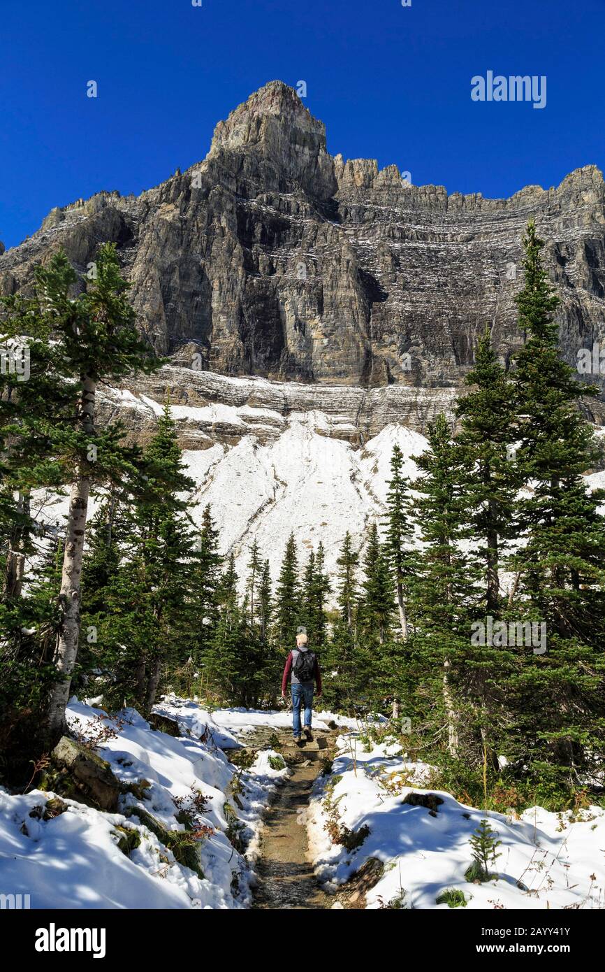 Randonneur Sur Ptarmigan- Iceberg Lake Trail, À L'Est Du Parc National Des Glaciers, Montana. Banque D'Images