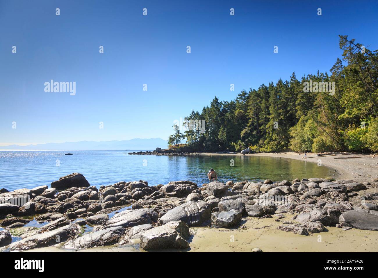 East Sooke Regional Park, Sooke, Île De Vancouver, Colombie-Britannique, Canada. Banque D'Images