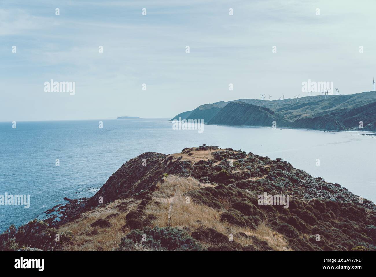 Paysage de Wellington, Nouvelle-Zélande ; vue panoramique de Makara beach Banque D'Images