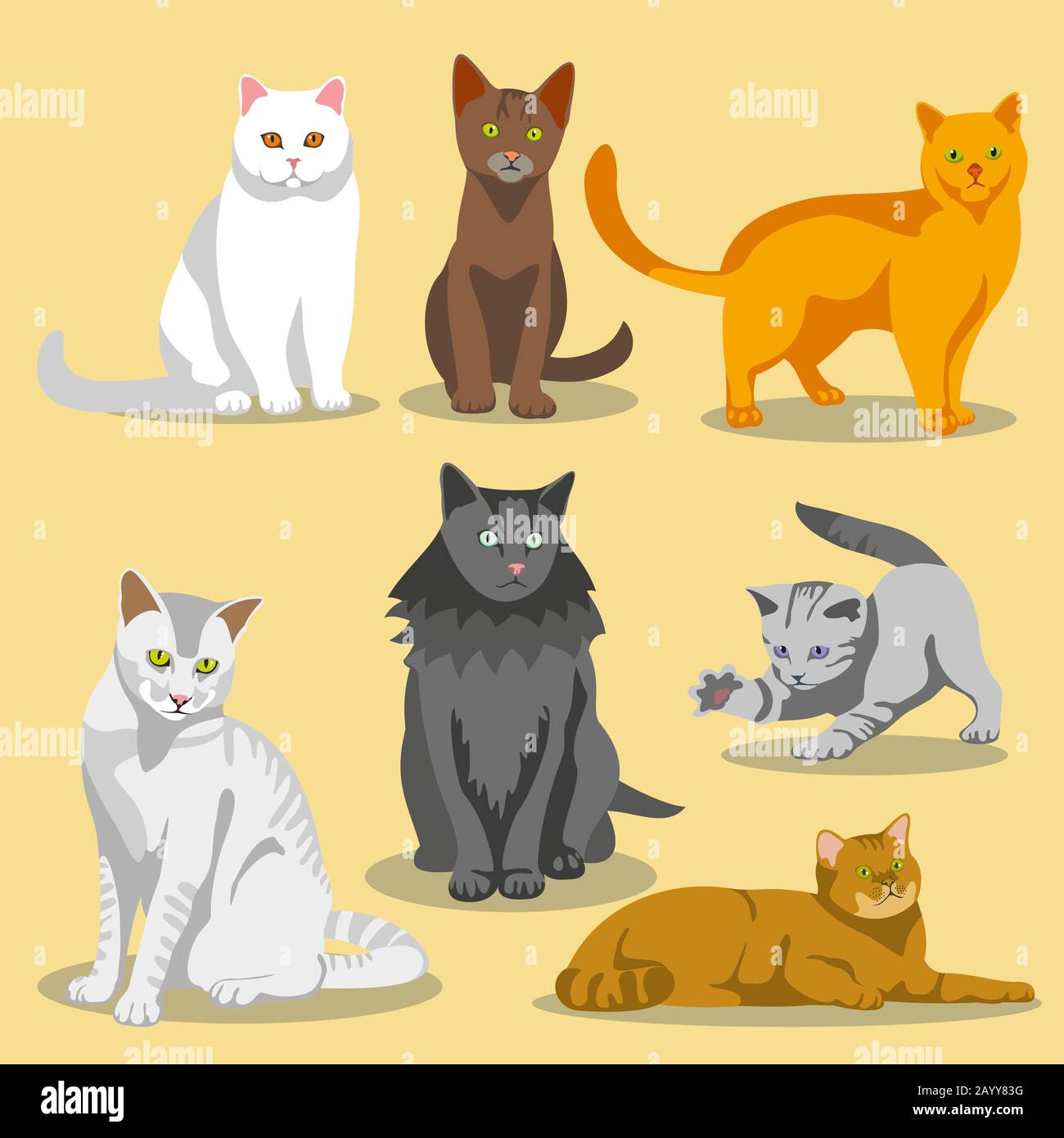 Les chats à vecteur mignon avec différentes fourrures et marquages de couleur. Jeu de chats et animal de compagnie de chat d'illustration Illustration de Vecteur