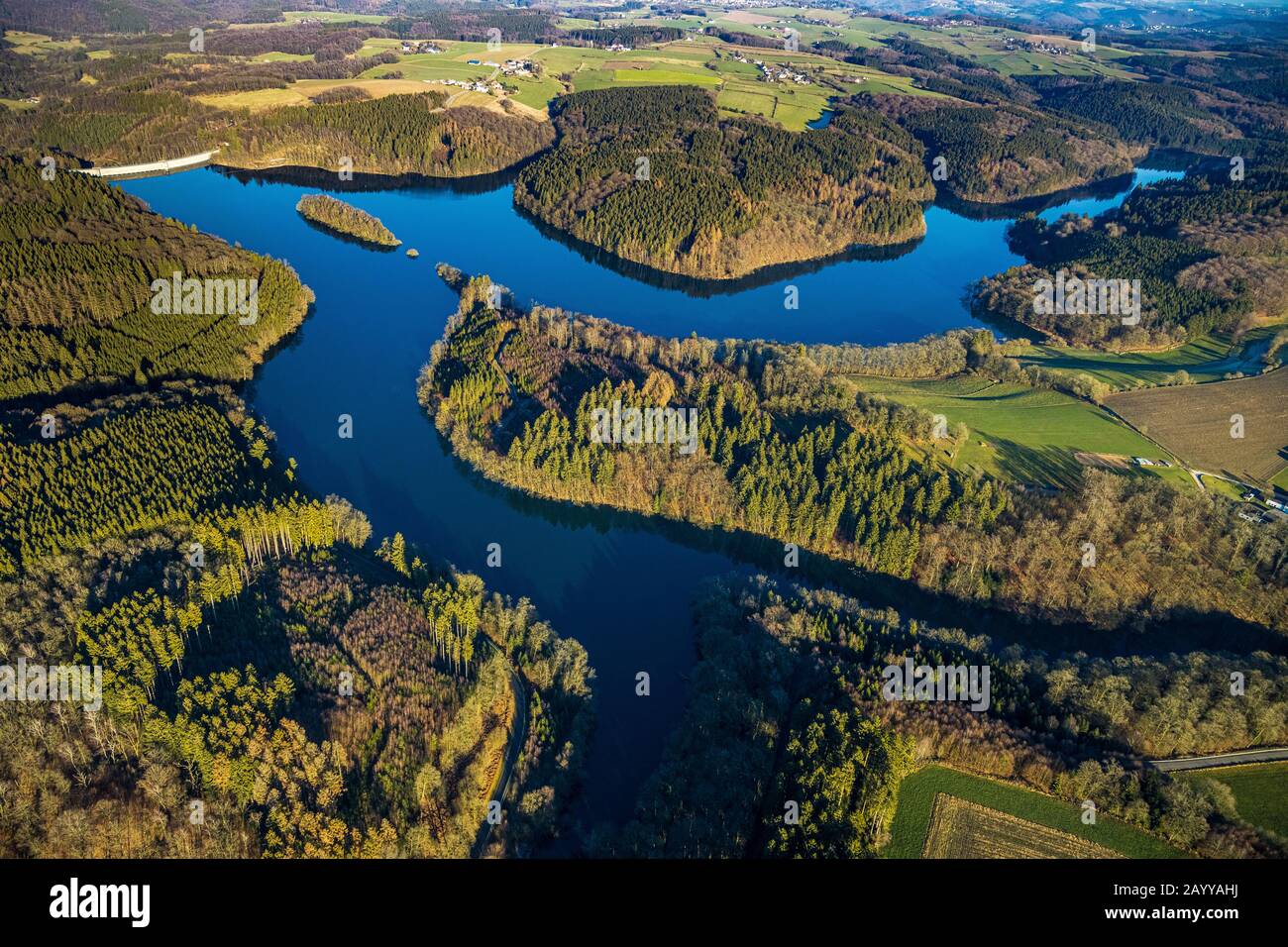 Photo aérienne, barrage Ennepe, Ennepe, mur du barrage, lac artificiel, réservoir d'eau potable, Breckerfeld, région de la Ruhr, Rhénanie-du-Nord-Westphalie, Allemagne, DE, Ue Banque D'Images