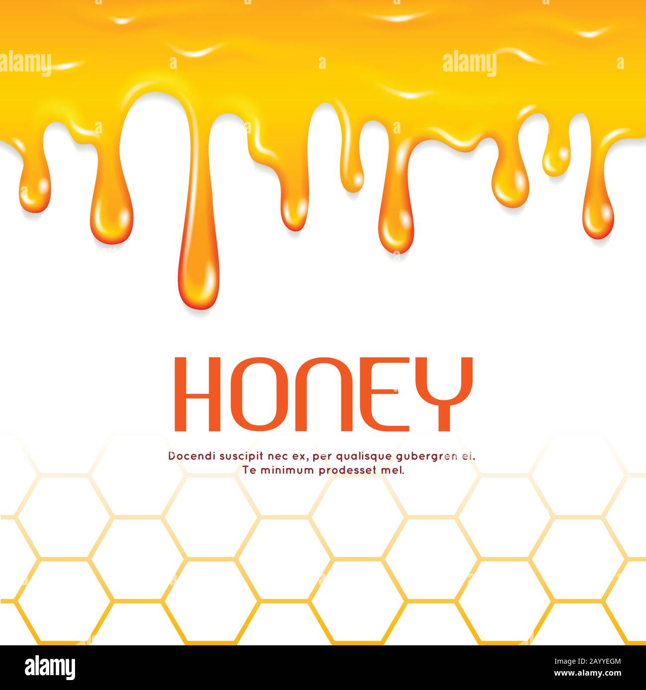 Égouttez la bordure vectorielle transparente au miel. Miel doux naturel, illustration du miel liquide doré Illustration de Vecteur