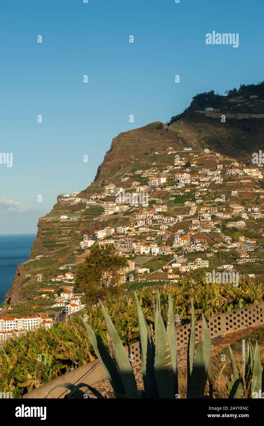 Vue sur les maisons et les plantations de bananes le long de la côte sud du point de vue de Pico da Torre sur l'île portugaise de Madère. Banque D'Images