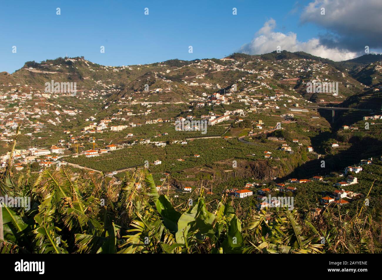 Vue sur les fermes et la plantation de bananes le long de la côte sud du point de vue de Pico da Torre sur l'île portugaise de Madère. Banque D'Images