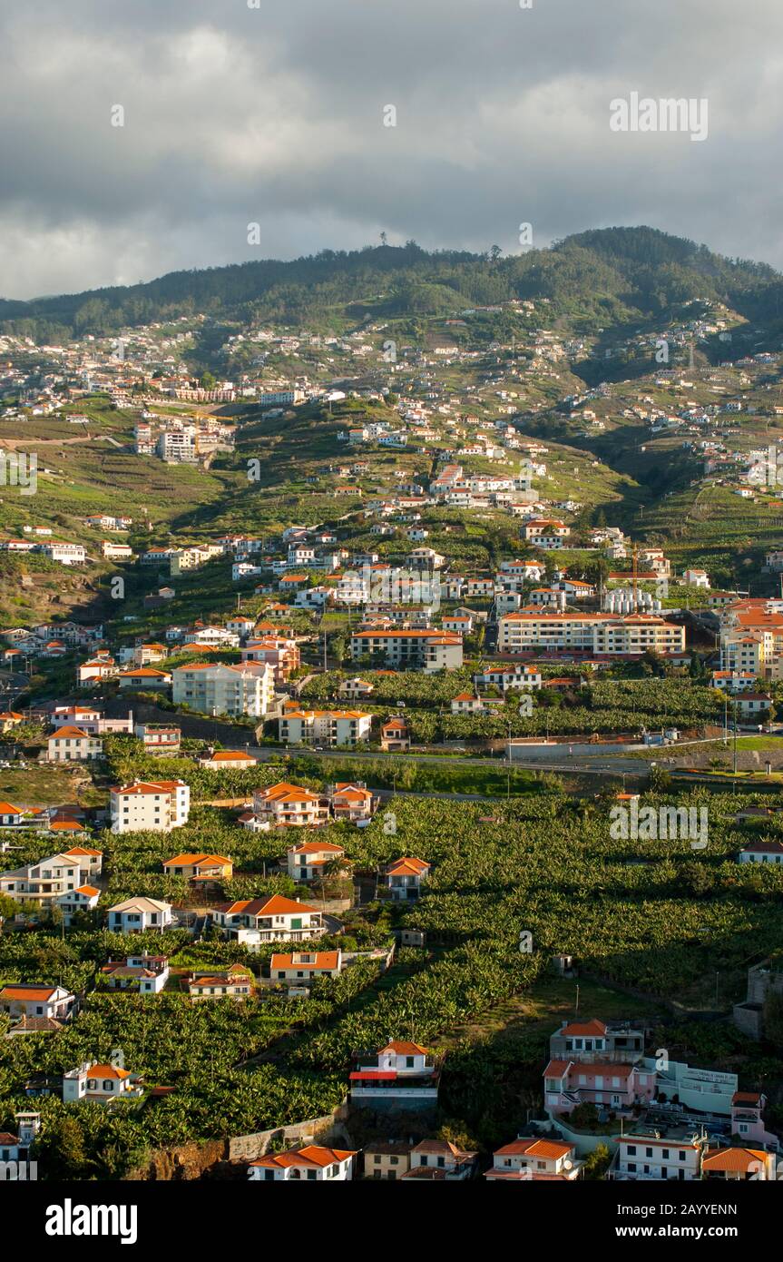 Vue sur les maisons et les plantations de bananes le long de la côte sud du point de vue de Pico da Torre sur l'île portugaise de Madère. Banque D'Images