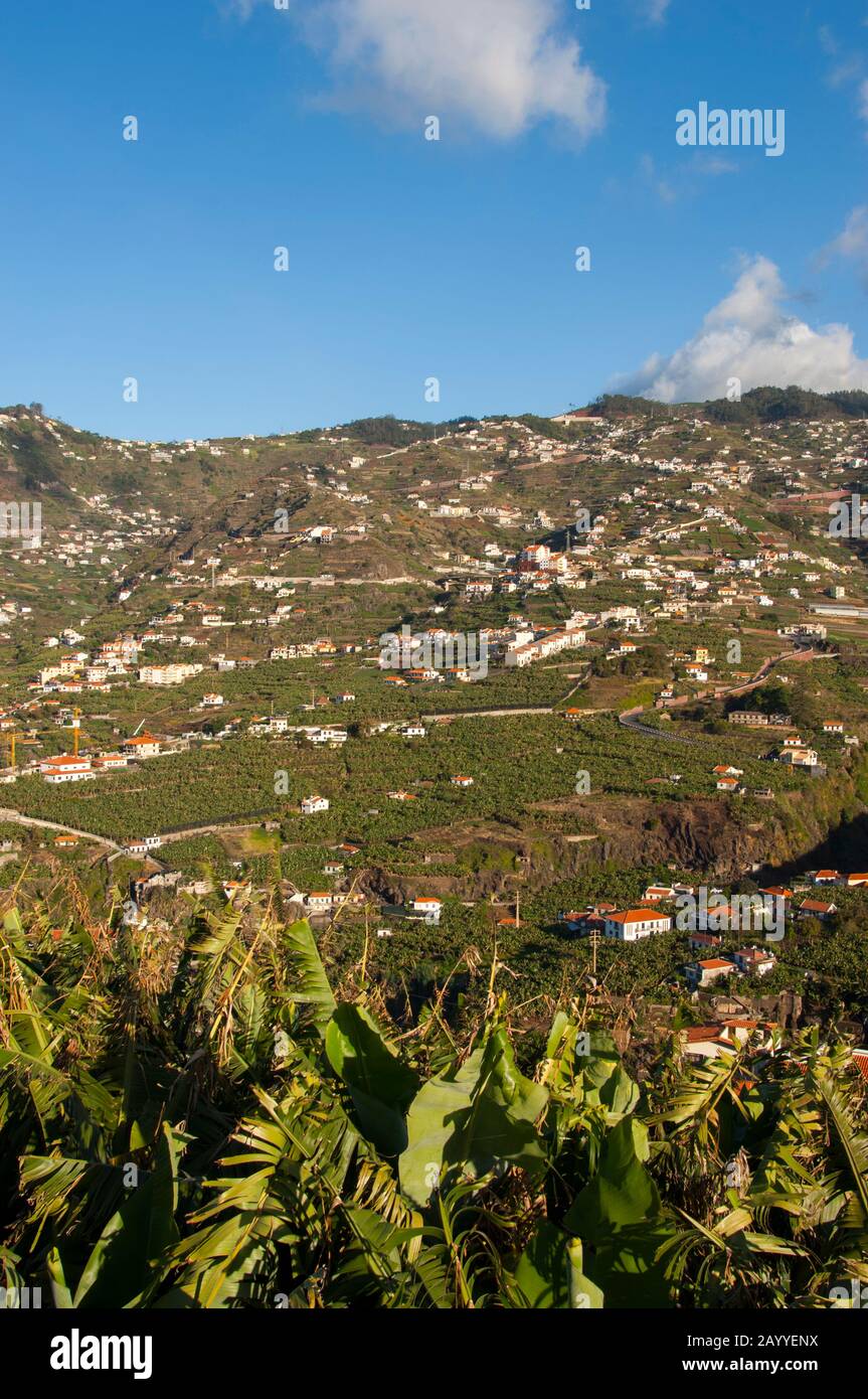 Vue sur les fermes et la plantation de bananes le long de la côte sud du point de vue de Pico da Torre sur l'île portugaise de Madère. Banque D'Images