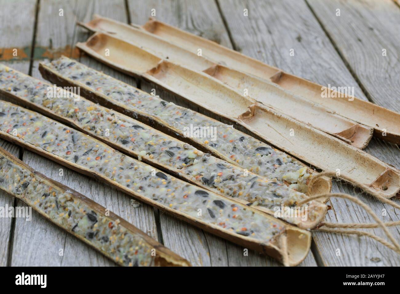 Les tiges de plantes creuses sont coupées en deux pour se remplir de nourriture d'oiseaux faite soi, en Allemagne Banque D'Images