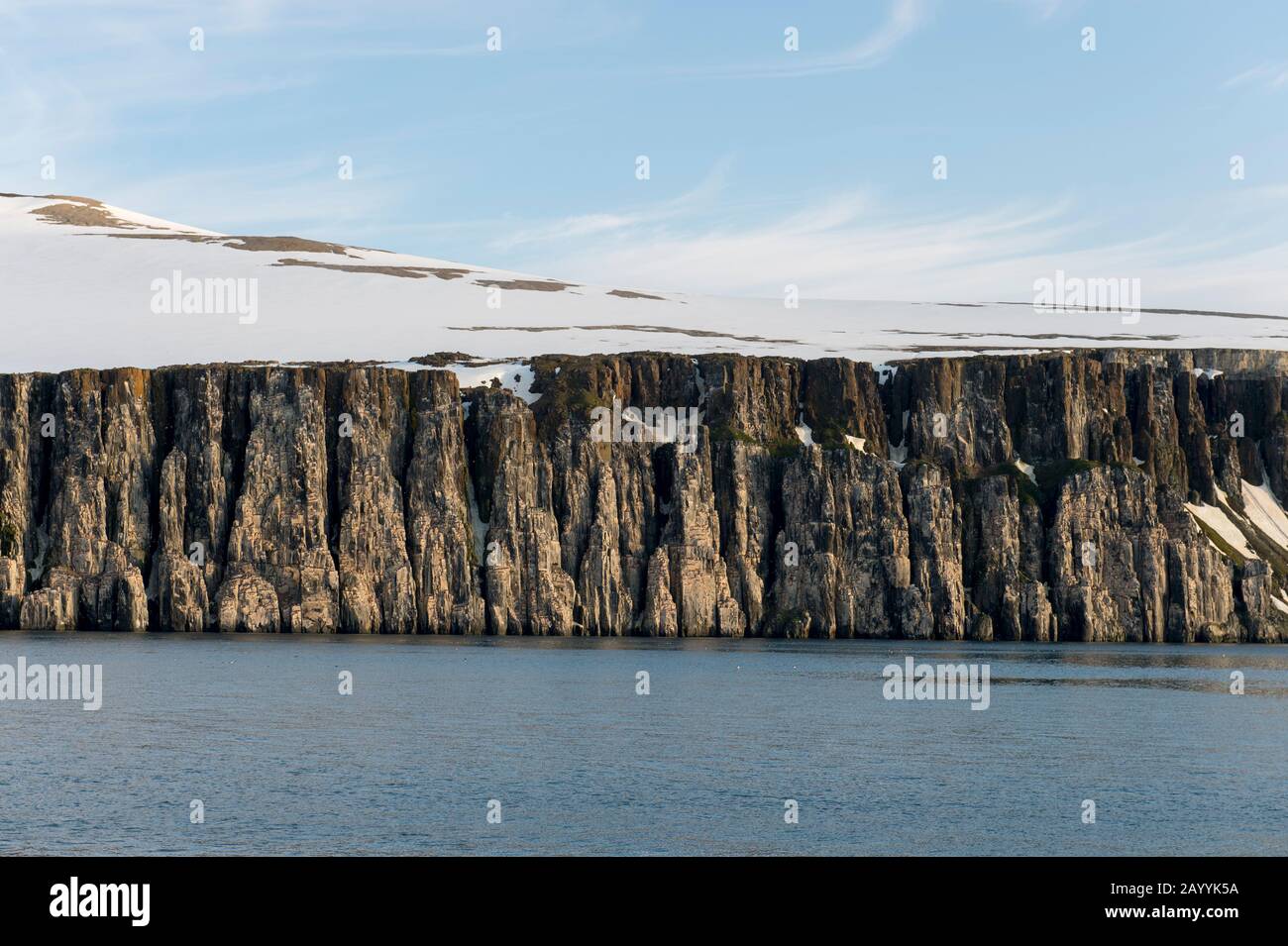 Vue sur la falaise d'oiseaux Alkefjellet à Lomfjordhalvøya dans Ny-Friesland à Spitsbergen, Svalbard, Norvège, où des milliers de marmettes De Brün ou De Brün à facture Épaisse Banque D'Images Vue sur la falaise d'oiseaux Alkefjellet à Lomfjordhalvøya dans Ny-Friesland à Spitsbergen, Svalbard, Norvège, où des milliers de marmettes De Brün ou De Brün à facture Épaisse Banque D'Images