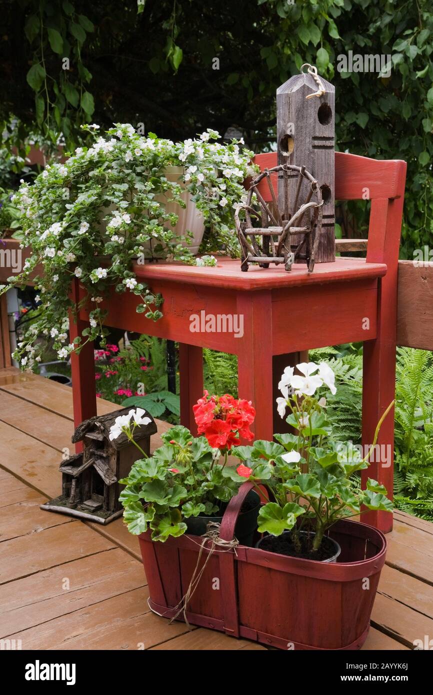 Panier à pélargonium rouge - Géraniums sur terrasse en bois brun et table décorée avec un semoir de fleurs de Bacopa blanches et de birdhouse sur terrasse. Banque D'Images